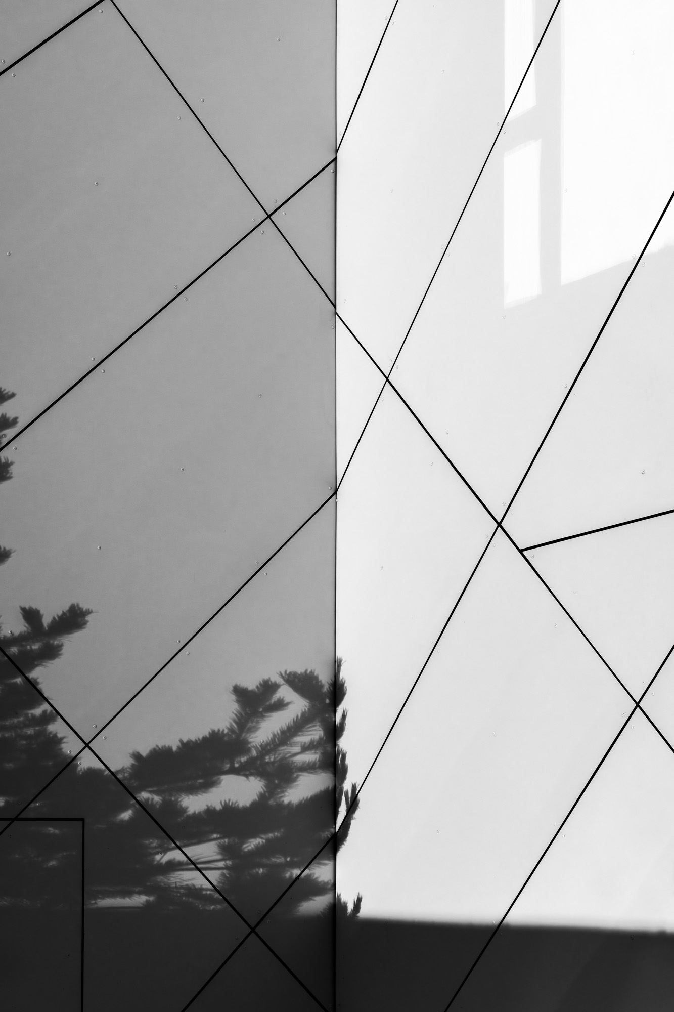 DSC 9138 W 2000