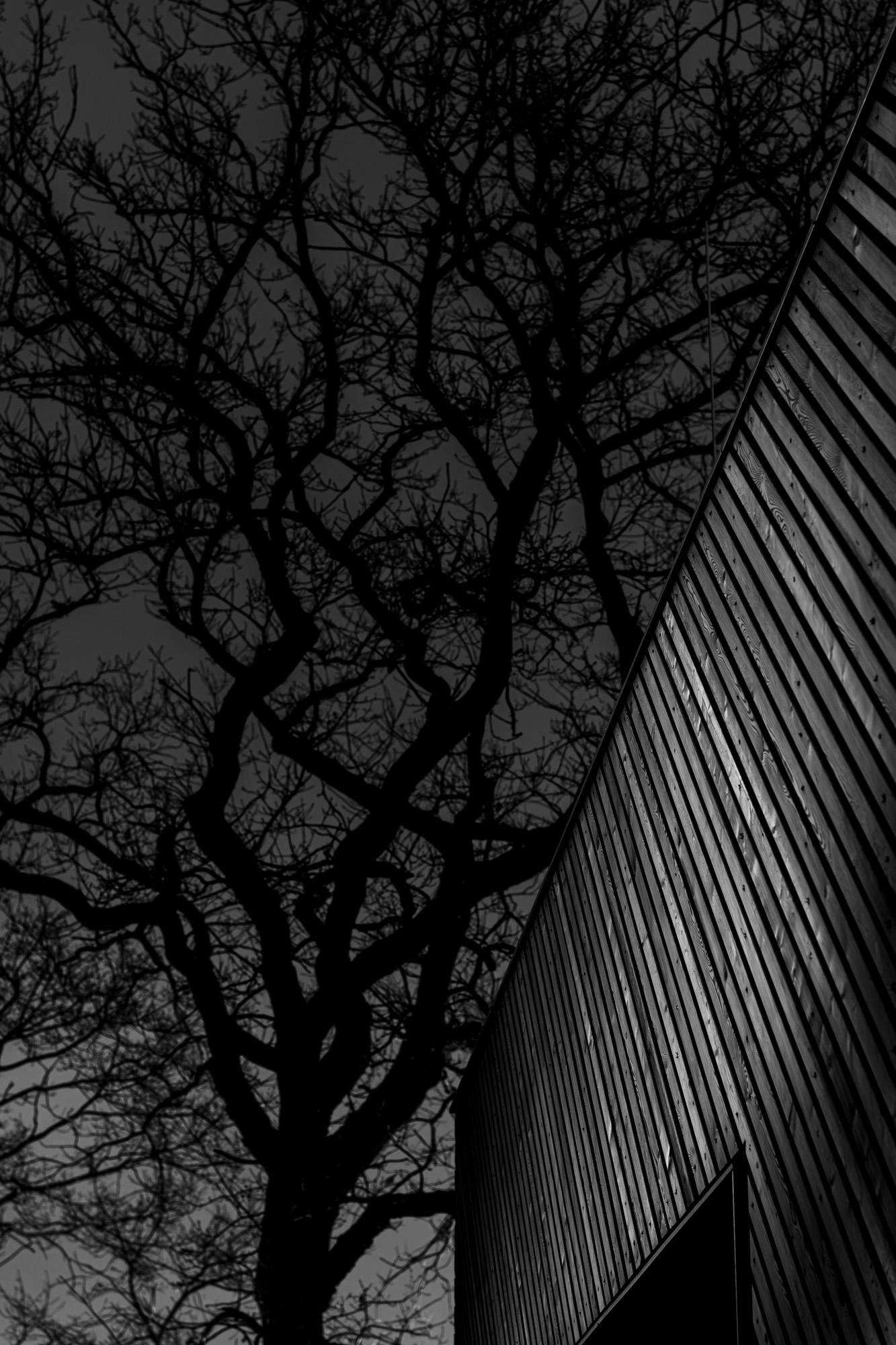 DSC 9265 W 2000