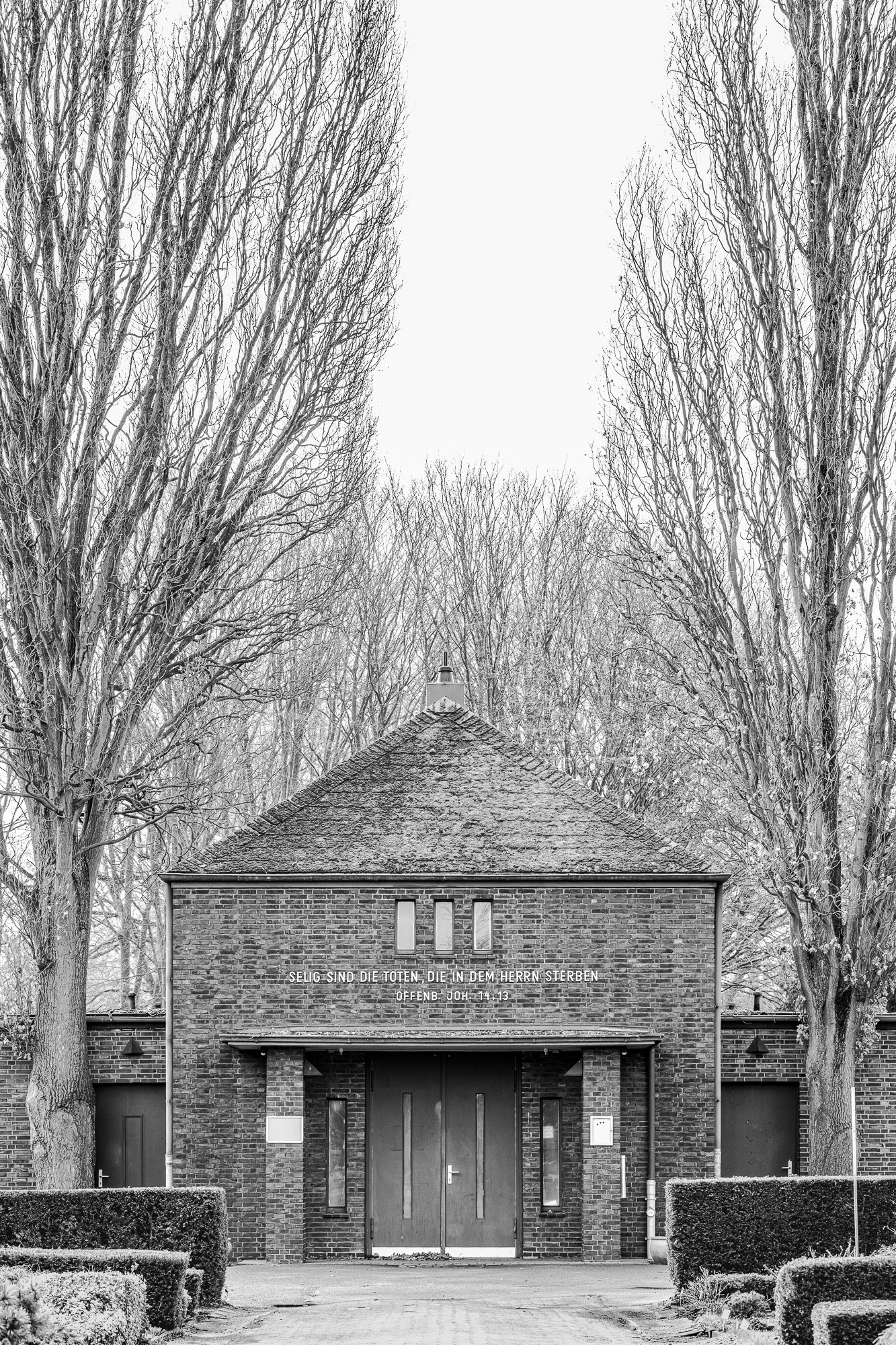  DSC2231 n ws