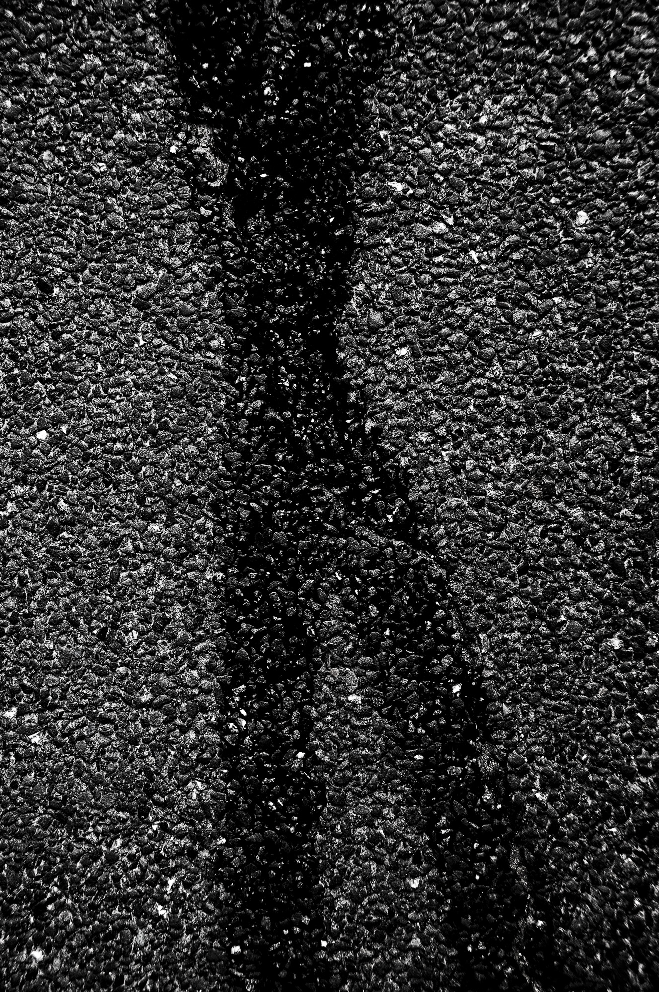 DSC 2669