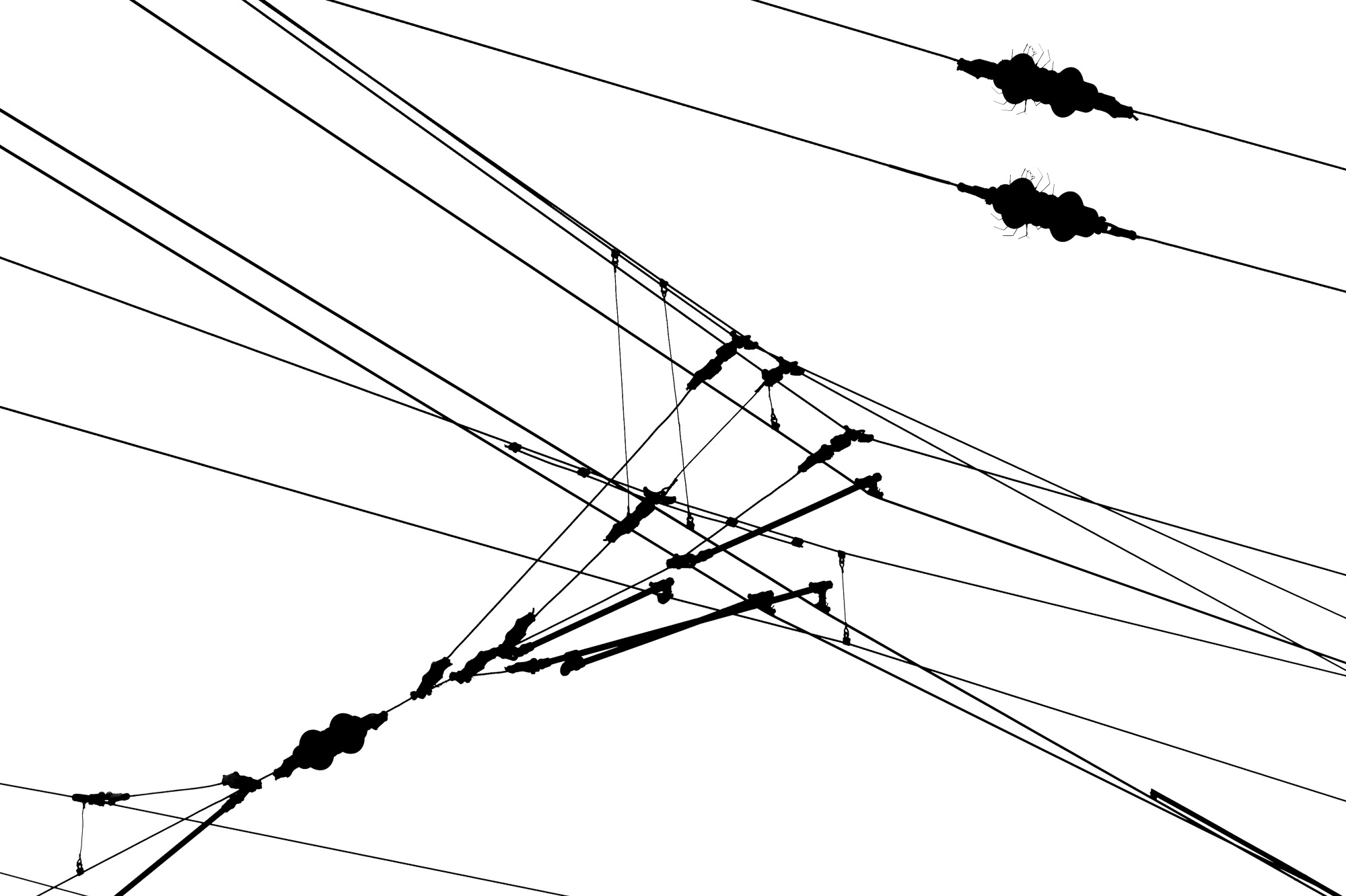 Lines
