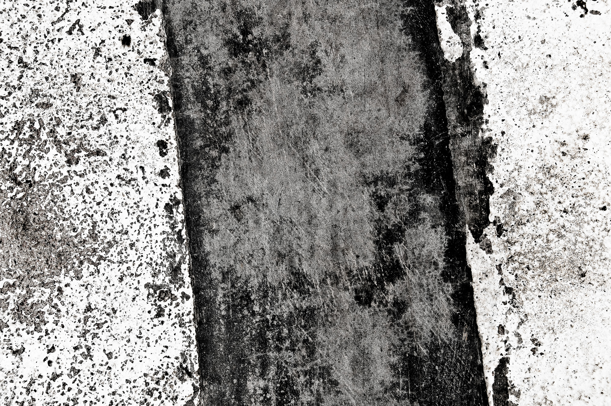 DSC 7645