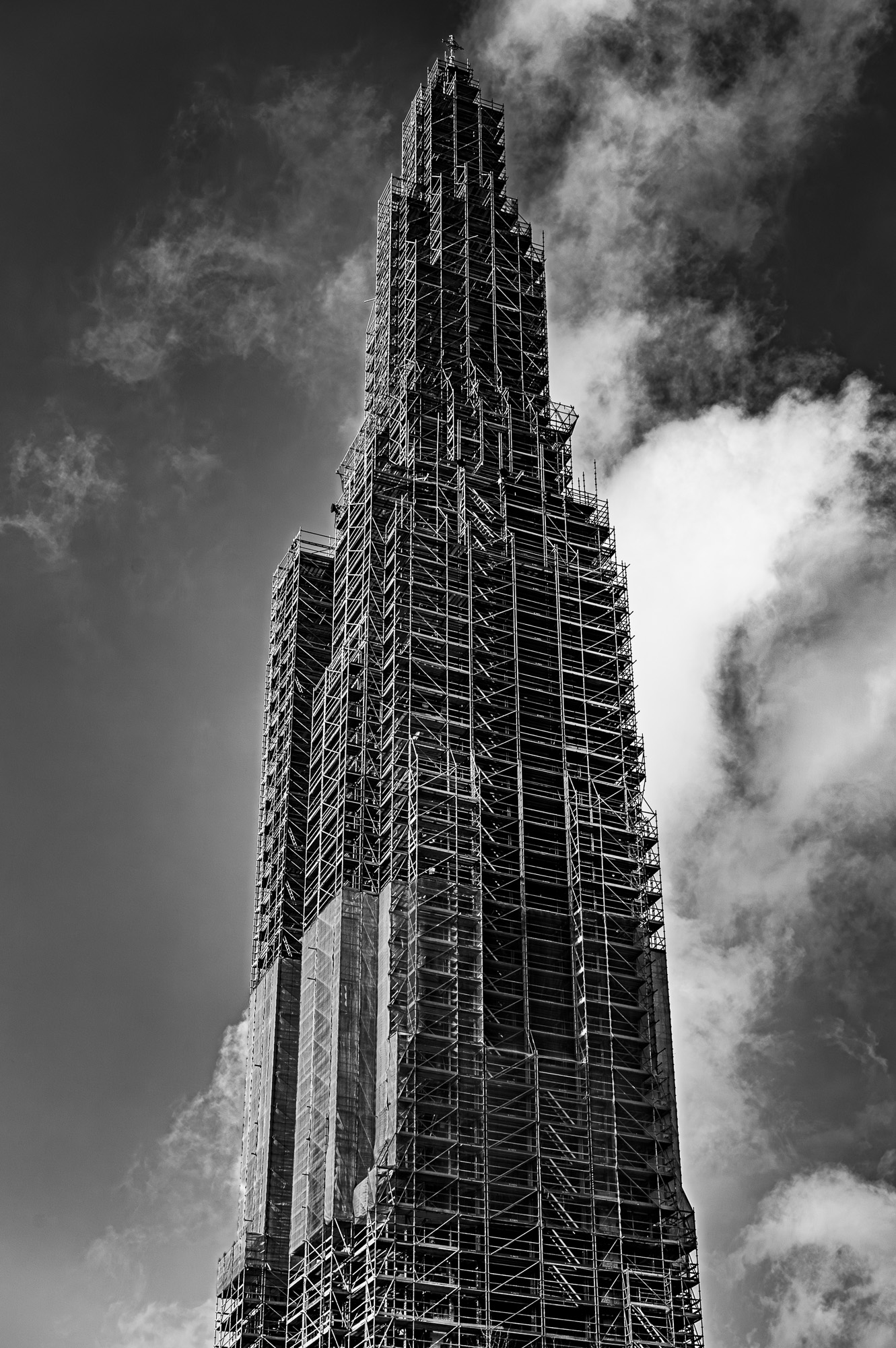 DSC 3099 RR