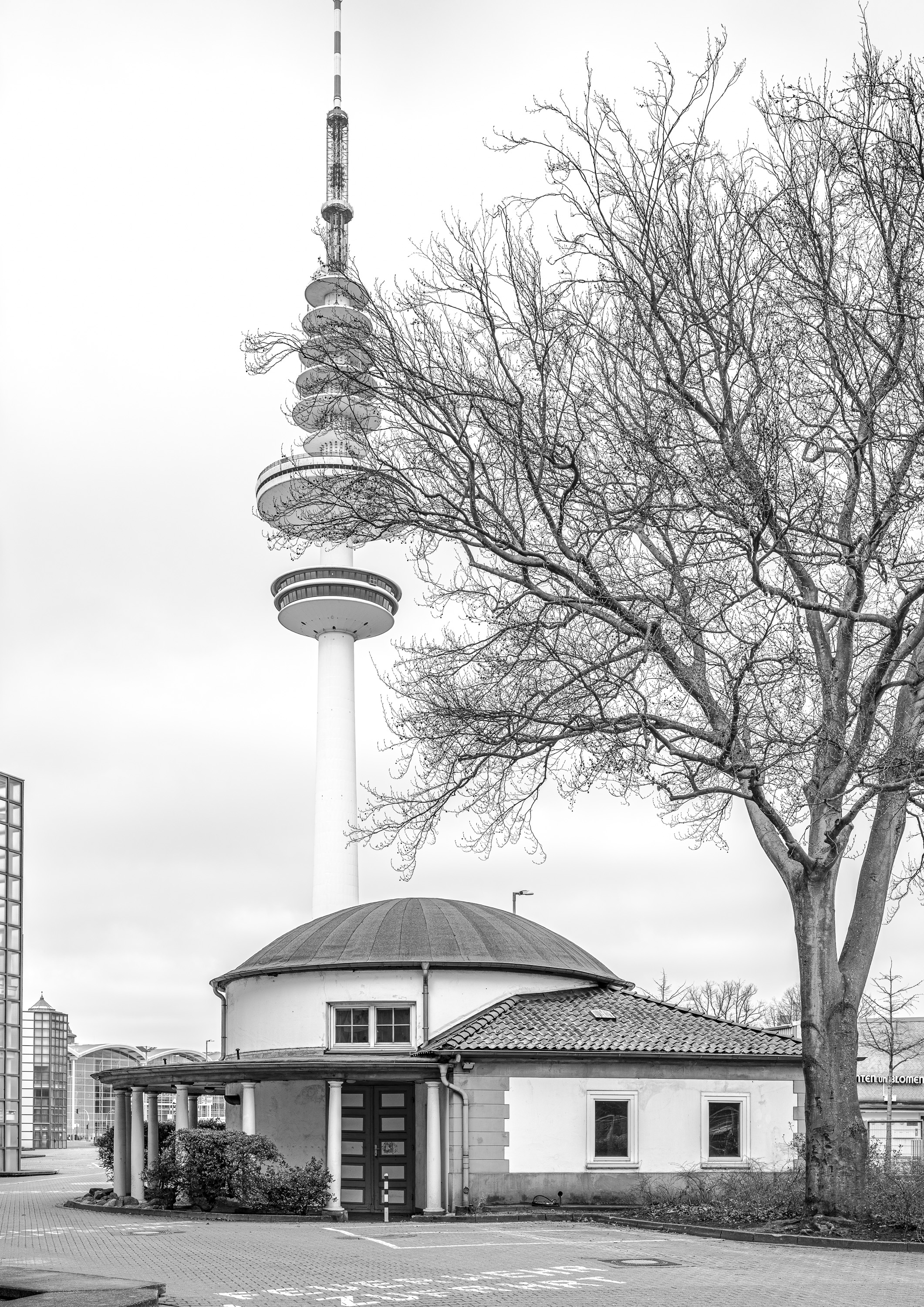  DSC3978